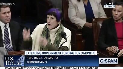 Sen. Mike Lee jokingly "nominates" Rosa DeLauro as the Democrats’ presidential candidate in 2028