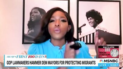 Sen. Mike Lee corrects Jasmine Crockett, who LIED about a law