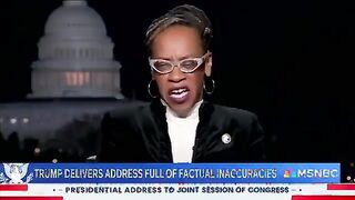 Democrats hit rock bottom by sending this lady to lie on TV
