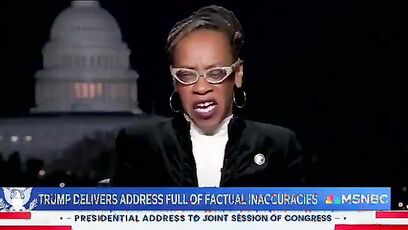 Democrats hit rock bottom by sending this lady to lie on TV