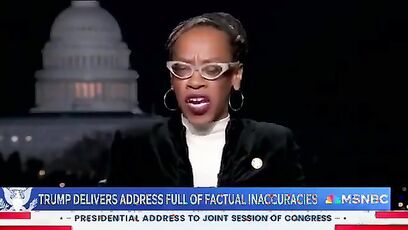 Democrats hit rock bottom by sending this lady to lie on TV