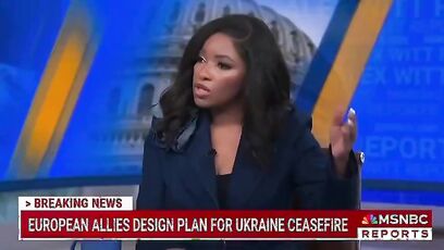 Scott Jennings mocks Jasmine Crockett as the "unquestioned leader of the Democratic Party"