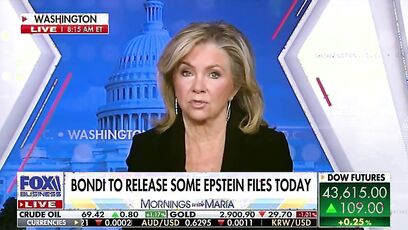 “There will be more" - Blackburn says Epstein file release is just the first phase