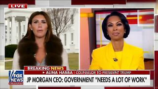 Alina Habba gives insights on how Trump's administration runs the country