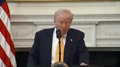 Trump has message that anti-ICE sanctuary mayors need to hear