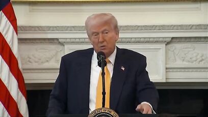 Trump has message that anti-ICE sanctuary mayors need to hear