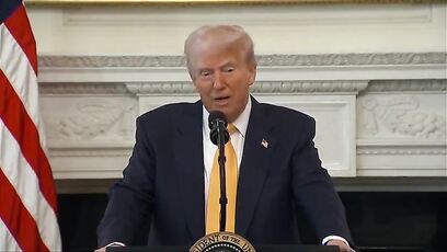 Trump has message that anti-ICE sanctuary mayors need to hear