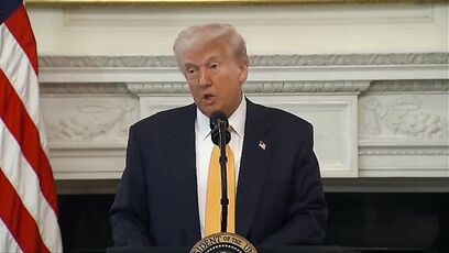 Trump has message that anti-ICE sanctuary mayors need to hear
