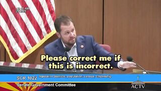 Democrat admits they 'want noncitizens to be counted' in elections