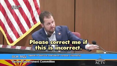 Democrat admits they 'want noncitizens to be counted' in elections