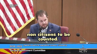 Democrat admits they 'want noncitizens to be counted' in elections