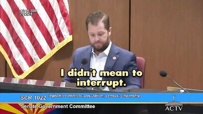 Democrat admits they 'want noncitizens to be counted' in elections