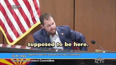 Democrat admits they 'want noncitizens to be counted' in elections