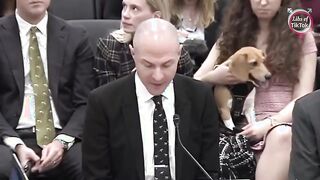 Hamster Fight Club? Federal govt accused of spending BILLIONS on bizarre animal experiments