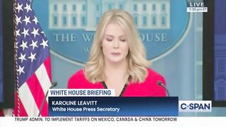 'Do you pray the airplane lands safely, or that the pilot has a certain skin color?' - Leavitt on DEI