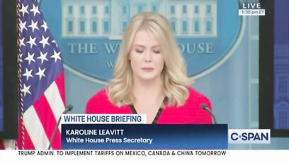 'Do you pray the airplane lands safely, or that the pilot has a certain skin color?' - Leavitt on DEI