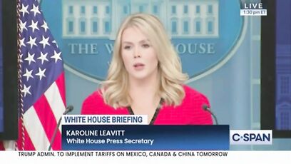 'Do you pray the airplane lands safely, or that the pilot has a certain skin color?' - Leavitt on DEI