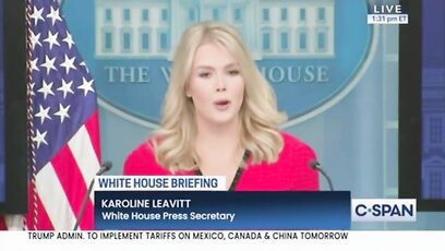 'Do you pray the airplane lands safely, or that the pilot has a certain skin color?' - Leavitt on DEI