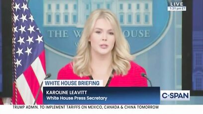 'Do you pray the airplane lands safely, or that the pilot has a certain skin color?' - Leavitt on DEI