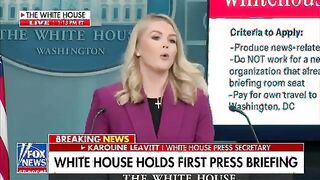 'New Jersey drones were FAA authorized, not the enemy' Press Secretary Leavitt