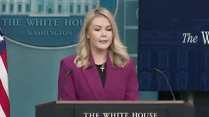 'America will NO LONGER TOLERATE illegal immigration' - New White House Press Sec Leavitt