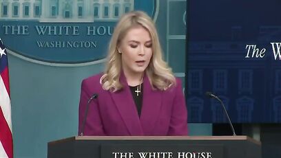 'America will NO LONGER TOLERATE illegal immigration' - New White House Press Sec Leavitt