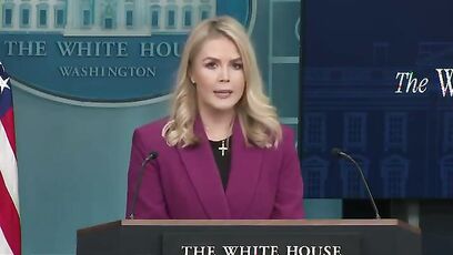 'America will NO LONGER TOLERATE illegal immigration' - New White House Press Sec Leavitt