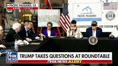 'in all fairness. We like water to put out fires. It's really quite efficient' - Trump to Democrat Rep.