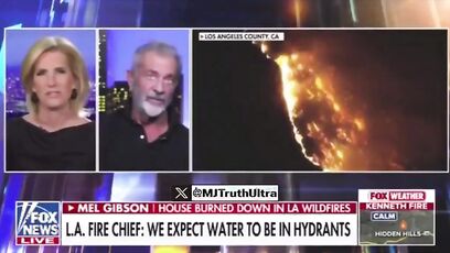 Mel Gibson has terrifying theory about LA fires