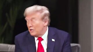 Trump announces three ambassadors to kickstart 'The Golden Age of Hollywood'