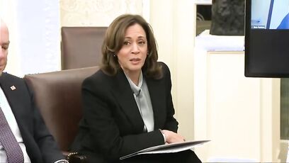 'Was she drunk?' - Kamala mocked for wildfire video