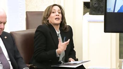 'Was she drunk?' - Kamala mocked for wildfire video