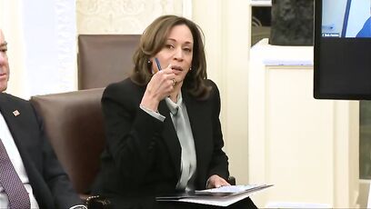 'Was she drunk?' - Kamala mocked for wildfire video