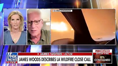 'This is the kind of thing they have tribunals for' - James Woods to Ingraham