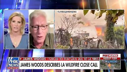 'This is the kind of thing they have tribunals for' - James Woods to Ingraham