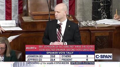 Stacey Plaskett has meltdown, needs rules explained to her