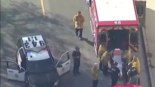 Wife of Weezer bassist shot by police