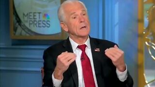 Peter Navarro says Trump's tariffs are working