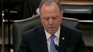 Adam Schiff admits forming a Shadow Government “to conduct real oversight'