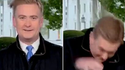 "A BIRD JUST LANDED ON MY HEAD" - Peter Doocy during live news broadcast
