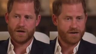 Harry is mad about losing police protection