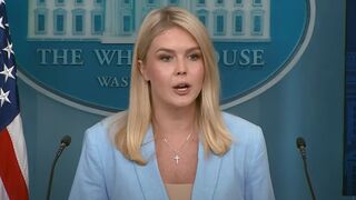 Leavitt snaps at reporters asking 'ridiculous' questions about Trump