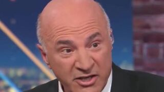 Kevin O’Leary calls Kamala Harris a LOSER on live CNN segment