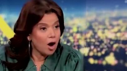 'Who’s going to milk our cows?' - Ana Navarro freaks out over deportations