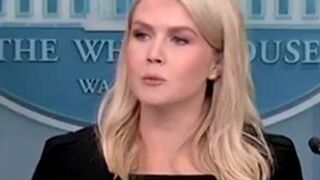 Leavitt reveals more info on Trump's decision with IRAN