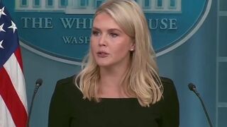 Jasmine Crockett said Trump supporters are mentally ill - Karoline Leavitt has perfect answer