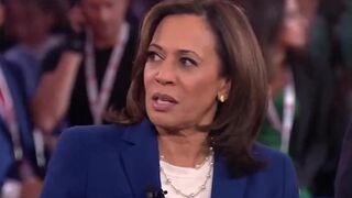 USAID Fraud Under Joe Biden: $800 million contract awarded to con man working for Kamala Harris