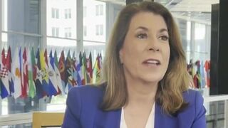 Tammy Bruce takes heat for joke about America