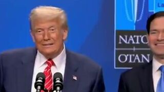 Rubio cracks up when Trump jokes about NATO SecGen calling him "DADDY"