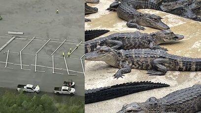 Construction on 'Alligator Alcatraz' begins in Florida